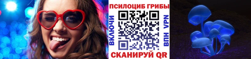 Купить где  Александровское  Псилоцибиновые грибы Magic Shrooms 